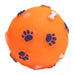 Oasis Paw Print Design Ball for Pets with Squeak 2