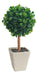 Topiario Verdes / Arbol De La Vida Artificial 7