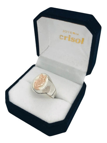 Crisol Anillo Sello De Plata C/logo De Profesor En Oro (s113) 1