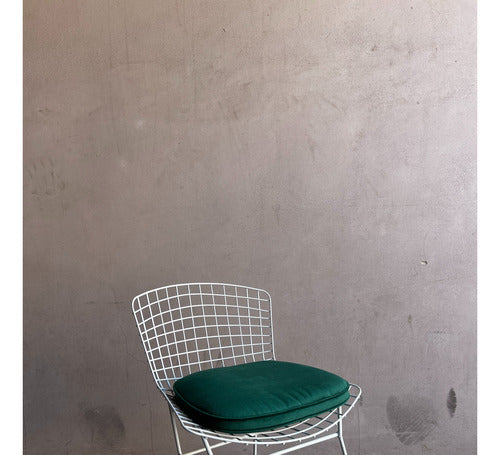 Small Workshop Bertoia Chair Cushions 33