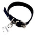 MEDALLAS PARA PERROS Chapita Identificatoria Perro Gato Trebol + Collar Negro 2cm 1