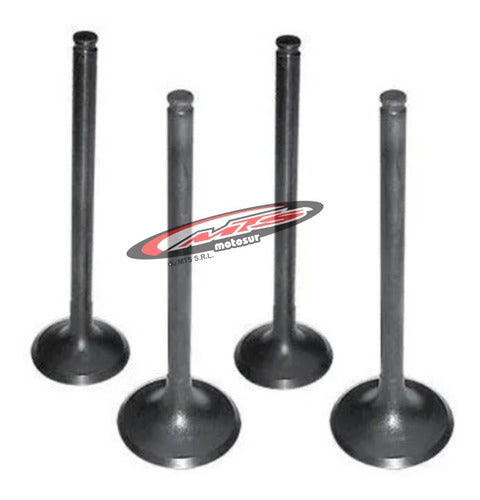 Set of 4 Dokuro Japan Intake and Exhaust Valves for Honda NX 400 Falcon 0