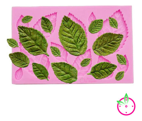 Hora de Regalos Silicone Mold Insert 12 Leaf Ribbed 3D Fondant 1