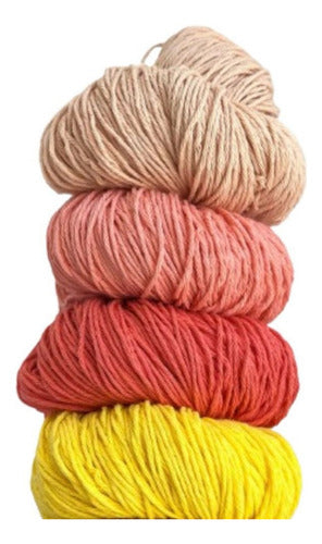 Puntos y Tramas Rustic Cotton Yarn Semi Thick Combo of 6 Skeins 0