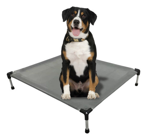 Hilgert Aluminum Dog Bed with Caps 75 x 60 cm 0