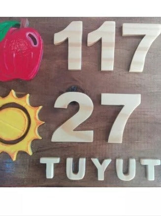 Ecolecuá Handcrafted Wooden Sign with Relief and Hand-Painted Apple and Sun 1