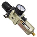 Pressure Regulating Filter with Pressure Gauge and Metal Protection 1