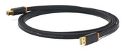 Neo By Oyaide Elec D + Usb Class A Rev2 3.3ft Cable Usb 0