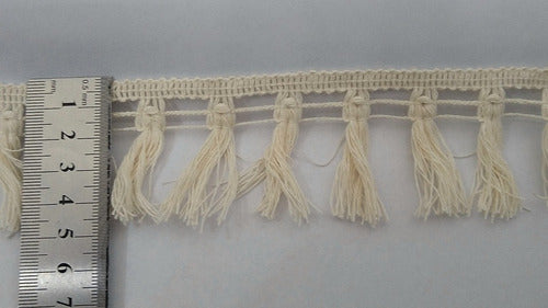 SN Cotton Broom Fringe 4.5 Cm (144 A) 0