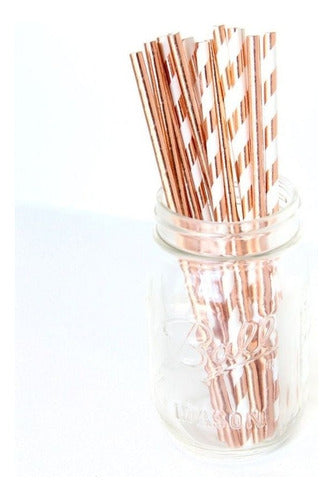 Party Store Rose Gold Paper Straws x24 1