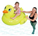 Bestway Inflatable Small Duck Float 41102 0