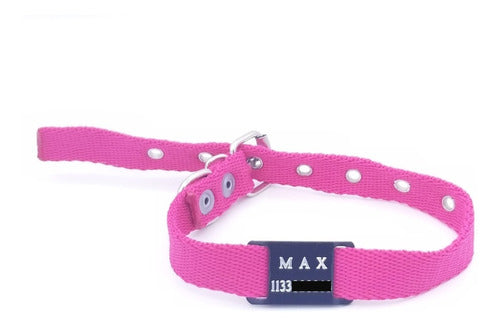 Colorful Dog Tag with 2cm Collar Attachment 3
