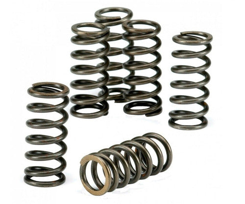 EBC Clutch Spring Kit for Honda XR 250 Tornado / Twister 250 1