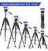 Aureday Tripod Camera Stand 74 Inches with Carrying Bag 1