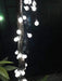 Splocolor Solar Outdoor String Lights, 20 Feet 3