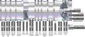 INSUMOS METALURGICOS Herramienta Metal Duro Widia Para Torno Mod. 150 Mango 5/8 4