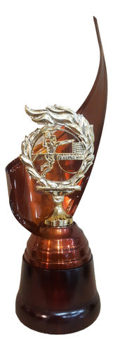 Trofeo Metálico Handball Balonmano Handbol Laurel 37cm 0