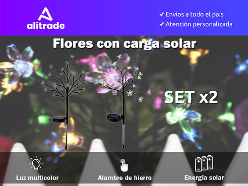 Alitrade Set X 2 Estaca Solar Exterior Luz Cálida Color Flores 70cm 1