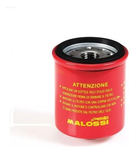 Malossi Oil Filter - Piaggio Beverly 250 0