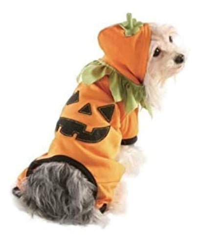 Martha Stewart Mascotas Perro Calabaza Traje Medio 0