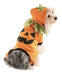 Martha Stewart Mascotas Perro Calabaza Traje Medio 0