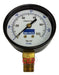 Manometer Beyca 100mm Thread 1/2 Bottom 0-100kg 0