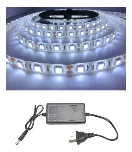 LED Strip Cold White Outdoor with Power Supply and Connector 5m 1