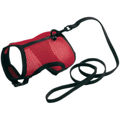 KIKADOG Jogging Harness + XL Leash 0