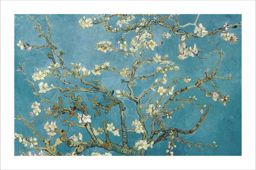 Fine Art Print Almond Blossom Van Gogh Edited 60x90 by MyC 0