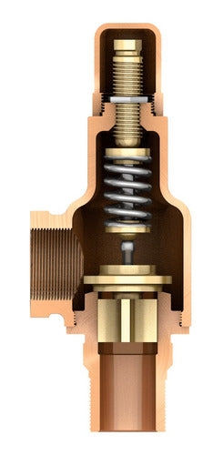 Valvula De Seguridad Alivio A Resorte Bronce 1 1/2 Pulgada 1