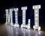 DARYLUZ LETRAS 75 Cm Tall Polyfan LED Light-Up Letter for Weddings and Celebrations 0