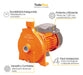 Lusqtoff Water Centrifugal Pump 1 HP with Thermal Protection 1