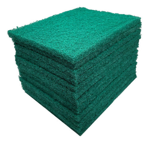 Pro-FLEX Abrasive Green Sponge 16x22cm - Pack of 12 1