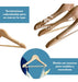 Quality Wooden Hangers - Pack of 25 1