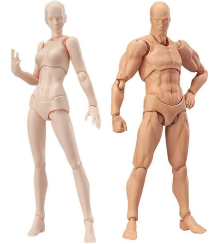 AXITWXIT Manikin for Drawing, Male and Female Skin Color 0