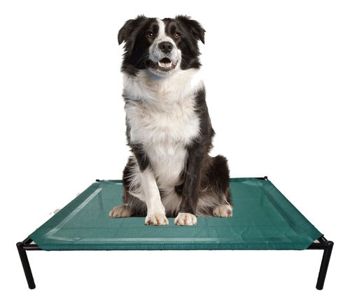 Hilgert Promo 2 Large Dog Beds 90 X 75 Cm 4