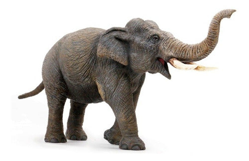 Shine Collectible Animals 30cm Elephant 1675604 E.normal 0