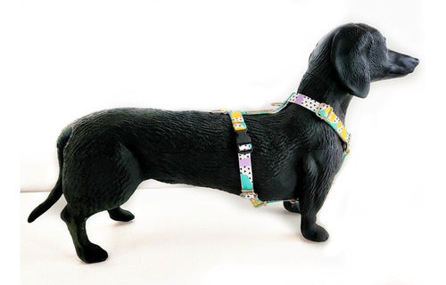 Adjustable Small Size Harness for Small Breeds - Mini Poodles, Dachshunds 24