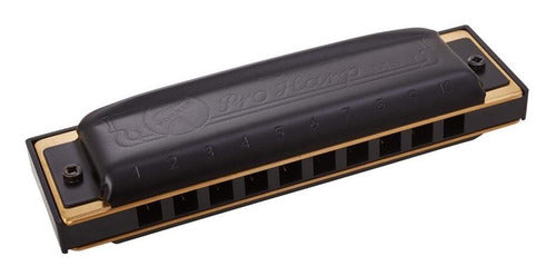 Hohner Pro Harp Diatonic Harmonica 20V - Abs - C - M564016 0