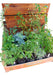 Organic Seedlings and Herbs Box 15 Units of Your Choice 0