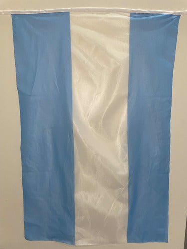 Bandera Argentina 90x60 Cm *oferta* 2