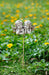 Napco Double Cherub Garden Pick Piedra Decorativa 2