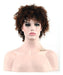 Cosplay Women Short Ruffled Curly Afro Dark Brown Wig 0