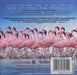 Cinematic Orchestra Crimson Wing Mystery of the Flamingos CD 1