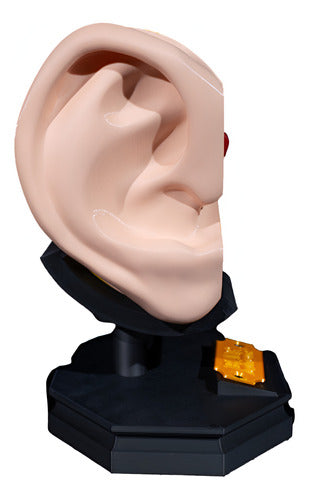 Generic Human Ear - Detachable 0