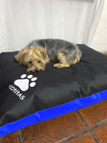 Mascotitas Small Dog Bed / Tear-Resistant / Waterproof + Cushions 1