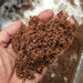 Turba Rubia de Spaghnum Sustraplanta® 80 Lt Bag - Organic Planting Substrate 1