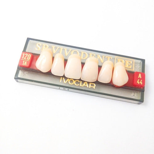 Ivoclar Vivadent Dientes Vivodent Color 1 A 120 Novacekdental 7