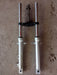 Honda CB250 New Twister Original Suspension Fork 1