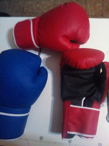 Guantes Boxeo Pvc 10, 12 Y 14 Oz , Directo De Fabrica! 0